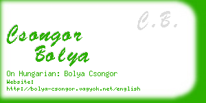csongor bolya business card